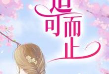 哪里能找到适可而止小说的全部章节？-读书翁