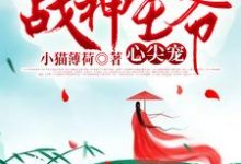完结版《重生后成了战神王爷心尖宠》在线免费阅读-读书翁