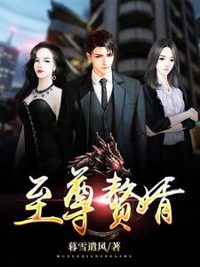 至尊赘婿最新章节，至尊赘婿免费阅读