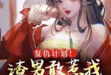 在线寻找复仇计划!渣男敢惹我将门虎女小说的无删减版本-读书翁