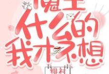 陈清琳儿为主角的小说叫什么？免费看魔王什么的我才不想当-读书翁