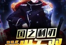 国之利刃:举世无双小说,国之利刃:举世无双最新章节-读书翁