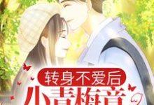 完结版《转身不爱后,小青梅竟当众表白》免费阅读-读书翁