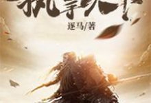 执掌天下小说的无弹窗阅读体验，寻找免费阅读网站-读书翁