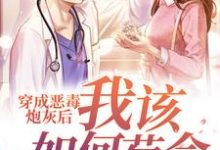 完结版《穿成恶毒炮灰后我该如何苟命》章节阅读-读书翁