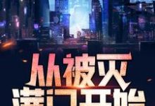 至尊战神:从被灭满门开始小说无弹窗阅读的网站推荐-读书翁