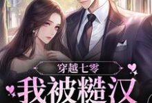 小说《穿越七零，我被糙汉军官宠上天》章节免费阅读-读书翁