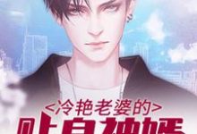 哪里能找到冷艳老婆的贴身神婿小说的最新更新和免费章节?-读书翁