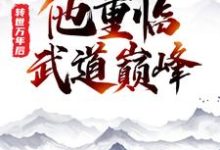 转世万年后，他重临武道巅峰（叶岩紫曦）在线免费阅读-读书翁