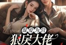 完结版《谋爱为营:狠戾大佬独宠我一人》免费阅读-读书翁