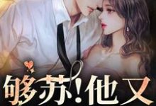 够苏!他又欲又野小说,够苏!他又欲又野章节在线阅读-读书翁