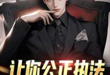 完结版《让你公正执法,没让你乱搞骚操作》在线免费阅读-读书翁