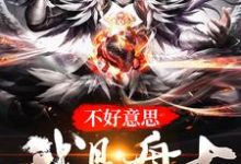 不好意思，我是盘古小说有没有完结版在线？-读书翁