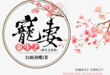 重生之宠妻小说的免费阅读版本在哪里可以找到？-读书翁