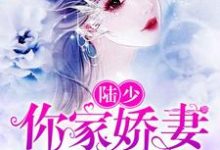 陆少，你家娇妻要黑化这本小说怎么样？免费在线阅读试试-读书翁