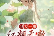 《猪友一堆，红颜无数，这叫年少有为》全集免费在线阅读（裴双郑子林）-读书翁
