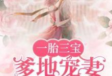 小说《一胎三宝,爹地宠妻超给力》在线章节阅读-读书翁