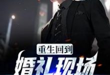 重生回到婚礼现场,先解除婚约小说全文哪里可以免费看?-读书翁