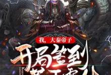 完结版《我，大秦帝子，开局签到苍天霸体》章节阅读-读书翁