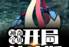 主角叫叶寻小说神奇宝贝:开局美纳斯章节免费阅读-读书翁