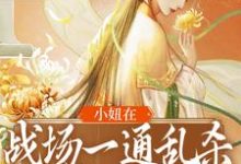 求小妞在战场一通乱杀,只为混口饭?小说的全文免费阅读链接-读书翁