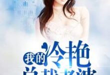 完结版《我的冷艳总裁老婆》章节目录在线阅读-读书翁
