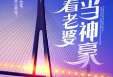 重生奶爸，带着老婆当神豪章节免费在线阅读，叶辰陈一诺完结版-读书翁