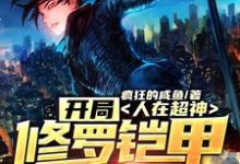 完结版《人在超神:开局修罗铠甲穿梭万界》在线免费阅读-读书翁