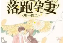 娶一送二,厉总的落跑孕妻温妤厉霆深李心颖小说在线章节目录阅读最新章节-读书翁