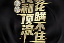 隐婚:我和顶流校花瞒不住了小说全文阅读需要付费吗?寻找免费资源-读书翁