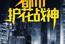 都市护花战神叶真林清音小说大结局免费试读-读书翁