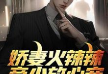 楚宇轩赵雅楠为主角的小说好看吗?求娇妻火辣辣:帝少放心宠免费试读-读书翁