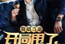 主角叶辰杨紫曦小说完结版在线阅读,赘婿当道:开局甩了女神娇妻免费看-读书翁