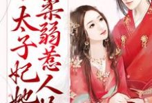 甜蜜宠爱:太子妃她柔弱惹人怜慕梓寒周璟小说免费阅读-读书翁