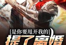 小说《是你要甩开我的，提了离婚你哭啥？》章节免费阅读-读书翁