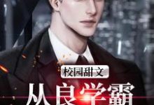 校园甜文：从良学霸，俘获少女心最新章节，校园甜文：从良学霸，俘获少女心章节在线阅读-读书翁