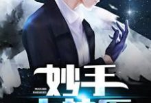 张大宝赵明玉为主角的小说好看吗？免费读妙手小神医-读书翁