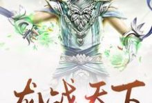 龙战天下小说的免费电子版在哪里可以下载或阅读？-读书翁