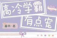 高冷学霸有点宠这本小说怎么样?免费在线阅读试试-读书翁