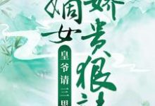 嫡女娇贵狠辣,皇爷请三思小说,嫡女娇贵狠辣,皇爷请三思在线阅读-读书翁