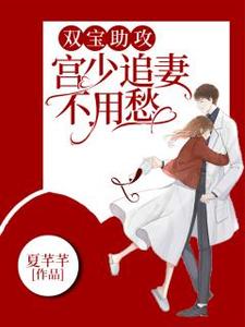 夏芊芊宫熠小说在线章节免费阅读（双宝助攻，宫少追妻不用愁无弹窗无删减）