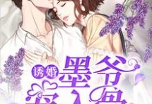 免费阅读秦酒墨司聿大宝小宝为主角的小说,诱婚,墨爷宠入骨在线看-读书翁