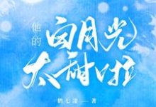 他的白月光太甜啦小说全文哪里可以免费看?-读书翁