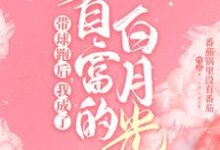 霸总歇歇吧,夫人都走三年了小说,霸总歇歇吧,夫人都走三年了在线阅读-读书翁