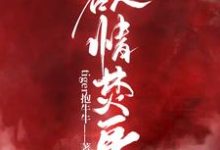 秦舒雅江淮霆为主角的小说叫什么?免费看欲情焚身-读书翁