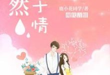 完结版《漓然止于情》章节阅读-读书翁