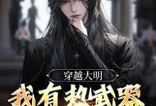 在线寻找穿越大明,我有热武器正常吧?小说的无删减版本-读书翁