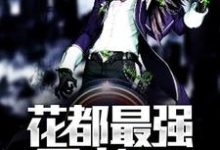 花都最强王者小说的所有章节都能在哪里免费读到？-读书翁