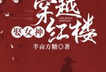 穿越红楼娶女神免费阅读,穿越红楼娶女神章节在线阅读-读书翁