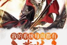 《玄幻:我的系统每周都有免费装备》小说主角陈兵秀儿章节章节免费在线阅读-读书翁